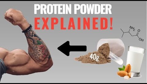 Protein Powder: How to Best Use It For Muscle Growth (4 Things You Need to Know)